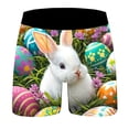 thumbnail image 6 of RTKFRFL Stylish Men's Easter Underwear Funny Bunny Print Boxer Briefs Soft Stretch Performance Trunks Breathable Holiday Theme Underpants for Men Durable Fabric Size Small-4XL, 6 of 6