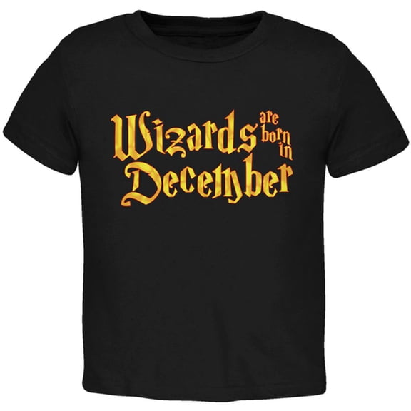 Wizards are born in December Toddler T Shirt Black 2T