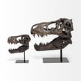 thumbnail image 5 of Brown Resin Tyrannosaurus Rex Skull DÃ©cor Piece, 5 of 6