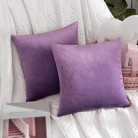 Eryueer Velvet Soft Decorative Square Throw Pillow Case Cushion Covers Pillowcases for Livingroom Sofa Bedroom with Invisible Zipper 16"x16" 2 Pieces Violet