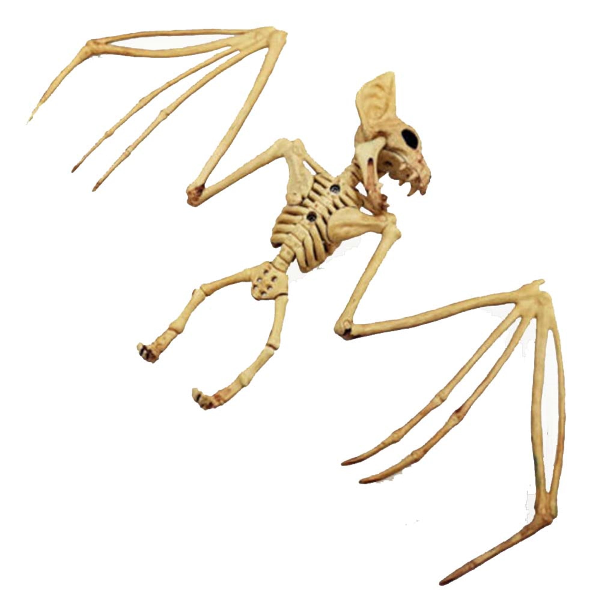 Aunavey Halloween Skeleton Bat for Decorations Skeleton