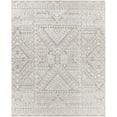 thumbnail image 5 of BoutiqueRugs Enfys Bohemian, Transitional Area Rug - Bone, Multi Brown, Cloud Gray - 2' x 3', 5 of 5