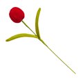 thumbnail image 1 of Flor de tulipán artificial preservada hecha a mano, terminada y hecha a mano, ideal como regalo para mujeres, amantes, aniversarios, día de la madre., 1 of 8