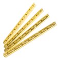 thumbnail image 1 of BESTYASH 4Ud Bisagras Largas Doradas Para Cajas De Madera Con Elegante Y Soporte Reforzado, 1 of 6