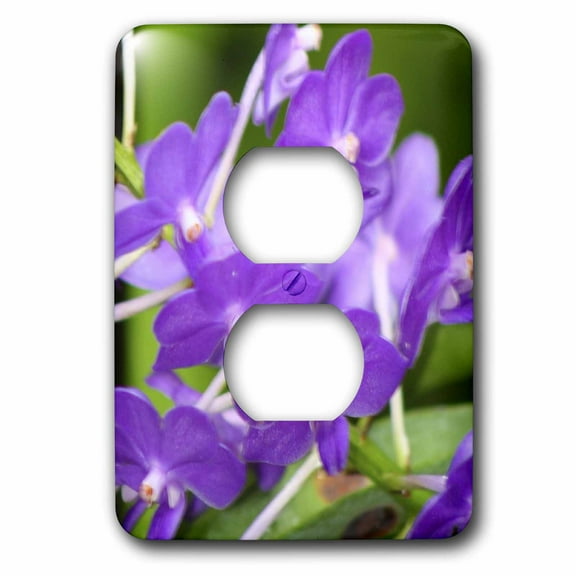 3dRose, ORCHID - FF, 2 plug outlet cover