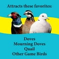 thumbnail image 5 of 3-D Pet Products Premium Dove & Quail Wild Bird Food, 6 lb., 1 Pack, Dry, 5 of 11
