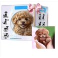 thumbnail image 6 of 2025 Upgraded Robot Dog,Realistic Robot Puppy - Interactive Robotic Pet That Sits,Barks,Walks & Runs Like a Real Dog, 6 of 8