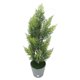 thumbnail image 5 of Decorációe de árbol cipress encendida iluminada usb led mini de la mesa led de luz, 5 of 7