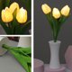 thumbnail image 1 of Lámpara de mesa de tulipán Luz LED de mesita de noche segura para decoración de café (A) Ndcxsfigh Para estrenar, 1 of 9
