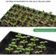 thumbnail image 2 of Bandeja germinadora MIXC de 5 paquetes con 200 celdas y domo, 2 of 6