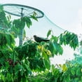 thumbnail image 2 of destyer Anti-bird Netting Gardening Plants Mesh Deer Sky Nylon Nets Multifunctional Vegetables Protection Wear-resistant Barrier Type6, 2 of 9