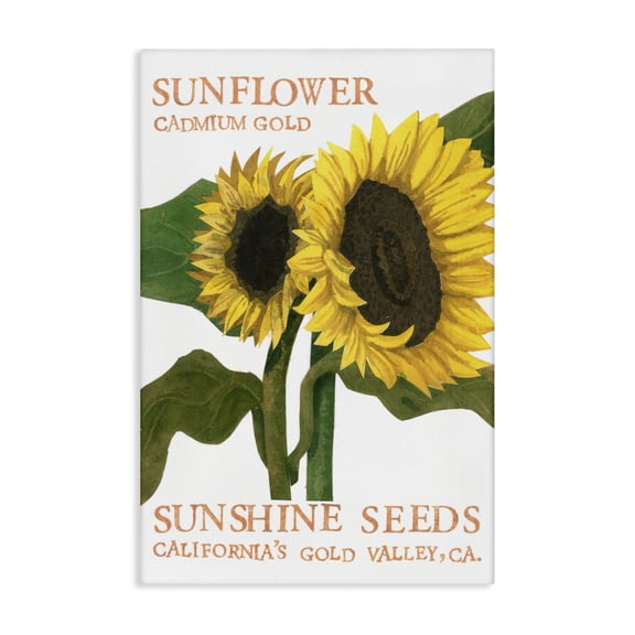 Stupell Industries Sunflower Seeds Design Typography Painting Gallery Wrapped Canvas Art Print Wall Art, 16 x 24