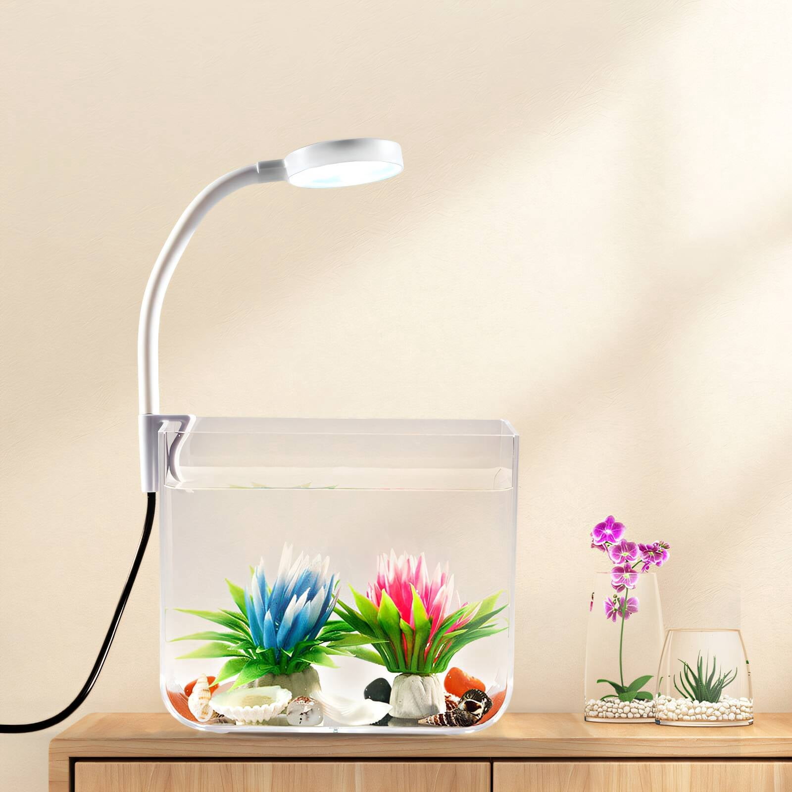 BPPEG Fish Tanks,Wide Vision Aquarium,Polished Finish Beta Fish Aquariums,Size6