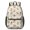 Corgi Costume and Bone Cream, variant on Boston Terrier and Rose Orange Pattern 17" Waterproof Oxford School Backpacks for Teens, S-Shape Padded Straps, for School, Travel, Hiking, Camping