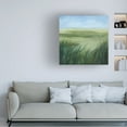 thumbnail image 2 of Trademark Fine Art Grace Popp Tall Grass Plains I Canvas Wall Art, 2 of 4
