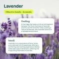 thumbnail image 6 of Attitude Laundry Detergent - Lavender - 40 Loads -- 67.6 fl oz, 6 of 6