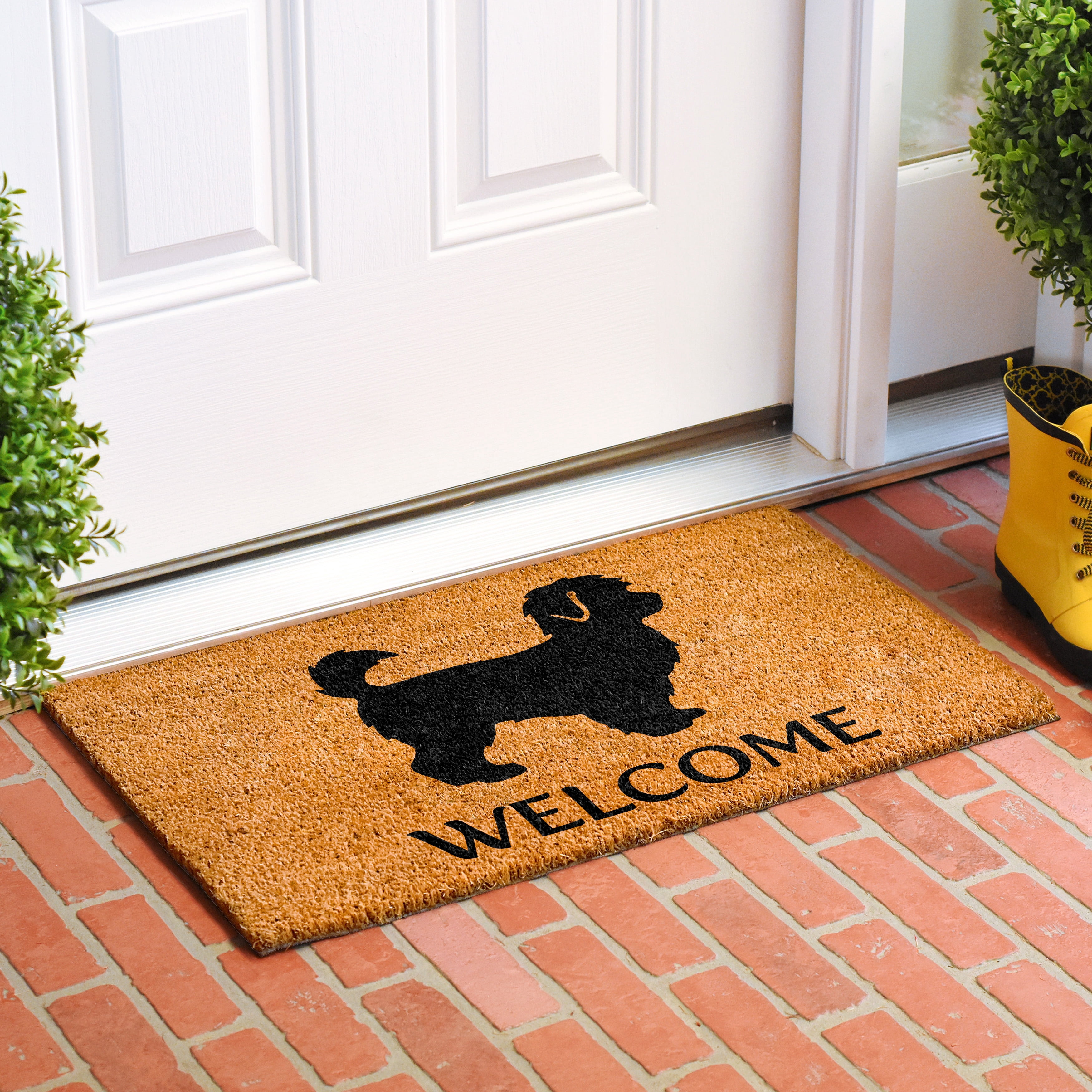 Calloway Mills 109821729 Maltipoo Doormat 17" x 29"