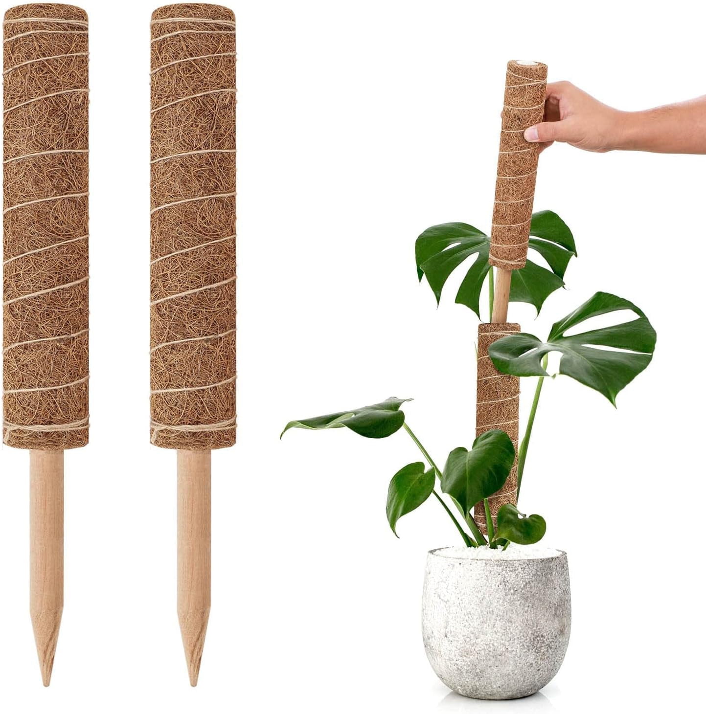 Moss Pole for Climbing Plants 15 Inch Coir Totem Pole ，Coir Plant Pole