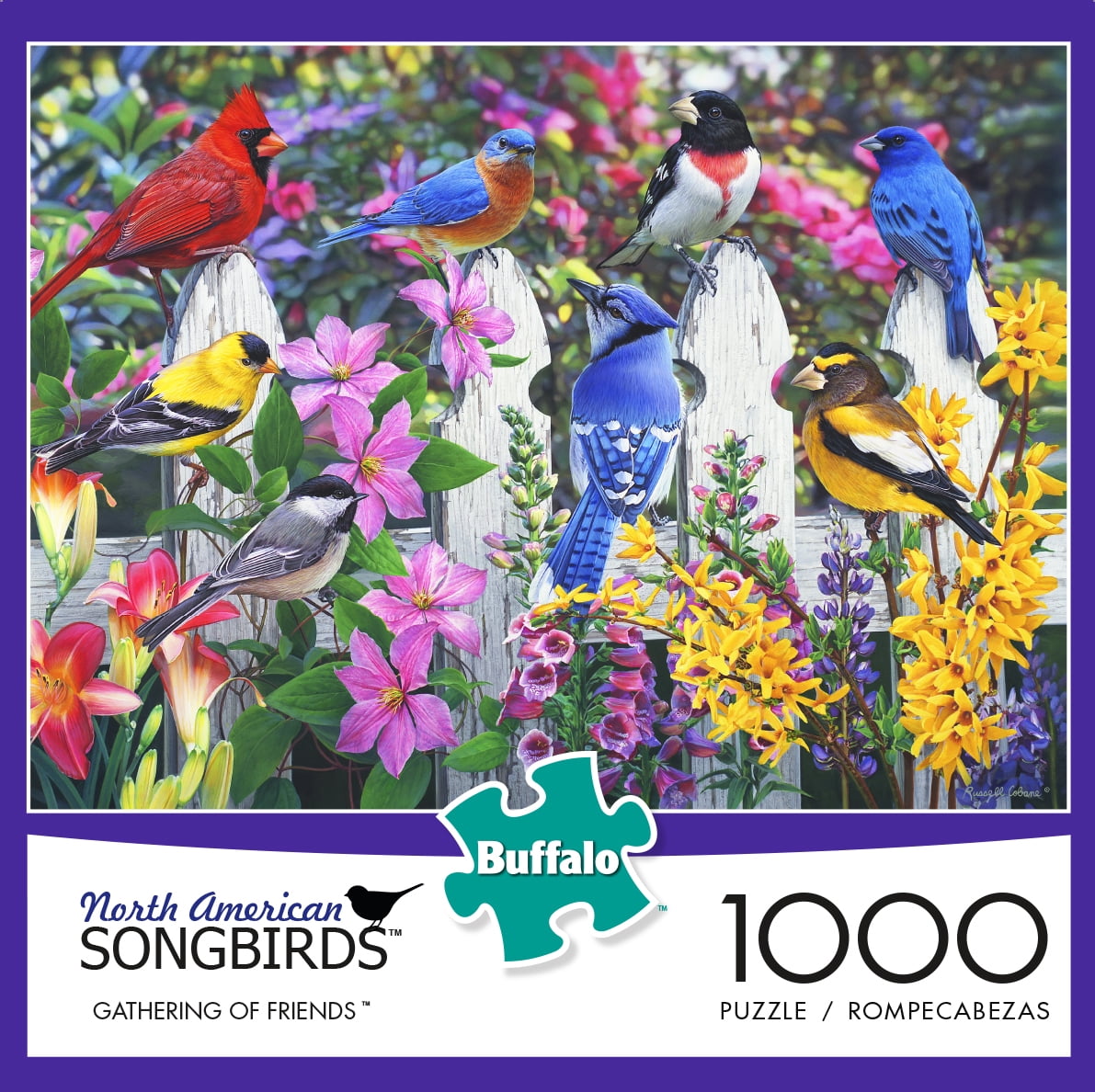 Buffalo Games Hummingbird Garden 1000 Piece Jigsaw Puzzle 
