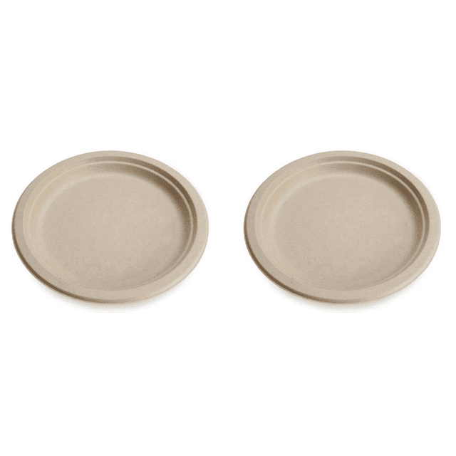 100% Compostable Disposable Paper Plates Bulk 9 Inch 100 Pack, Bamboo Plates, Friendly, Biodegradable