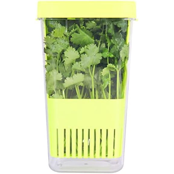 Herb Keeper, BPA-Free Plastic Herb Saver with an Inner Basket for Cilantro, Mint, Parsley, and Asparagus, Keeps Fresh Herbs for 3 Times Longer,1Pcs, Green