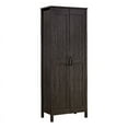 thumbnail image 2 of Sauder Two-Door Storage Cabinet, Blade Walnut Finish, 2 of 13