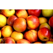 Apple Pectin 4 Ounces (114 Grams)