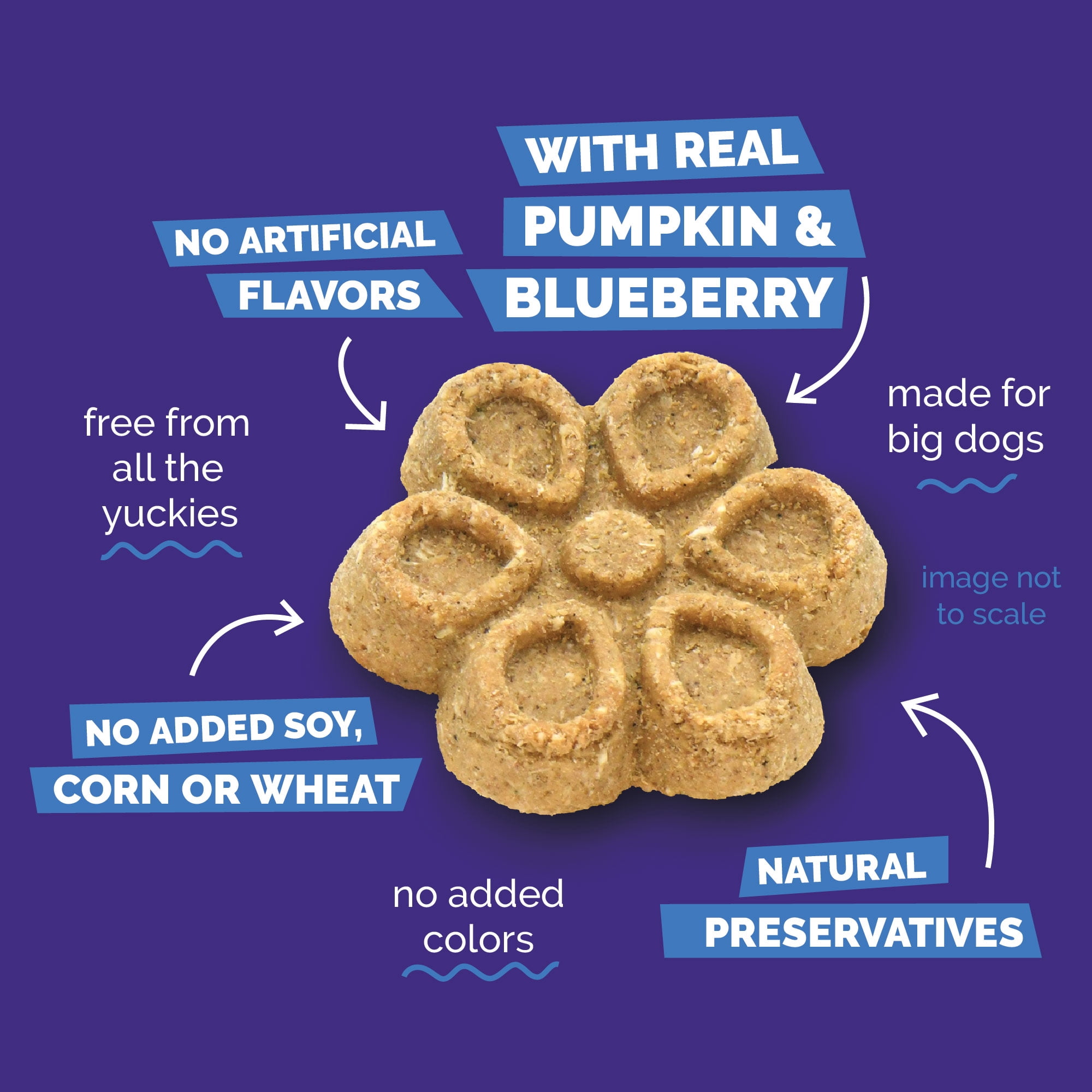 Fruitables Biggies Pumpkin & Blueberry Treats for Dogs - 16 Ounces