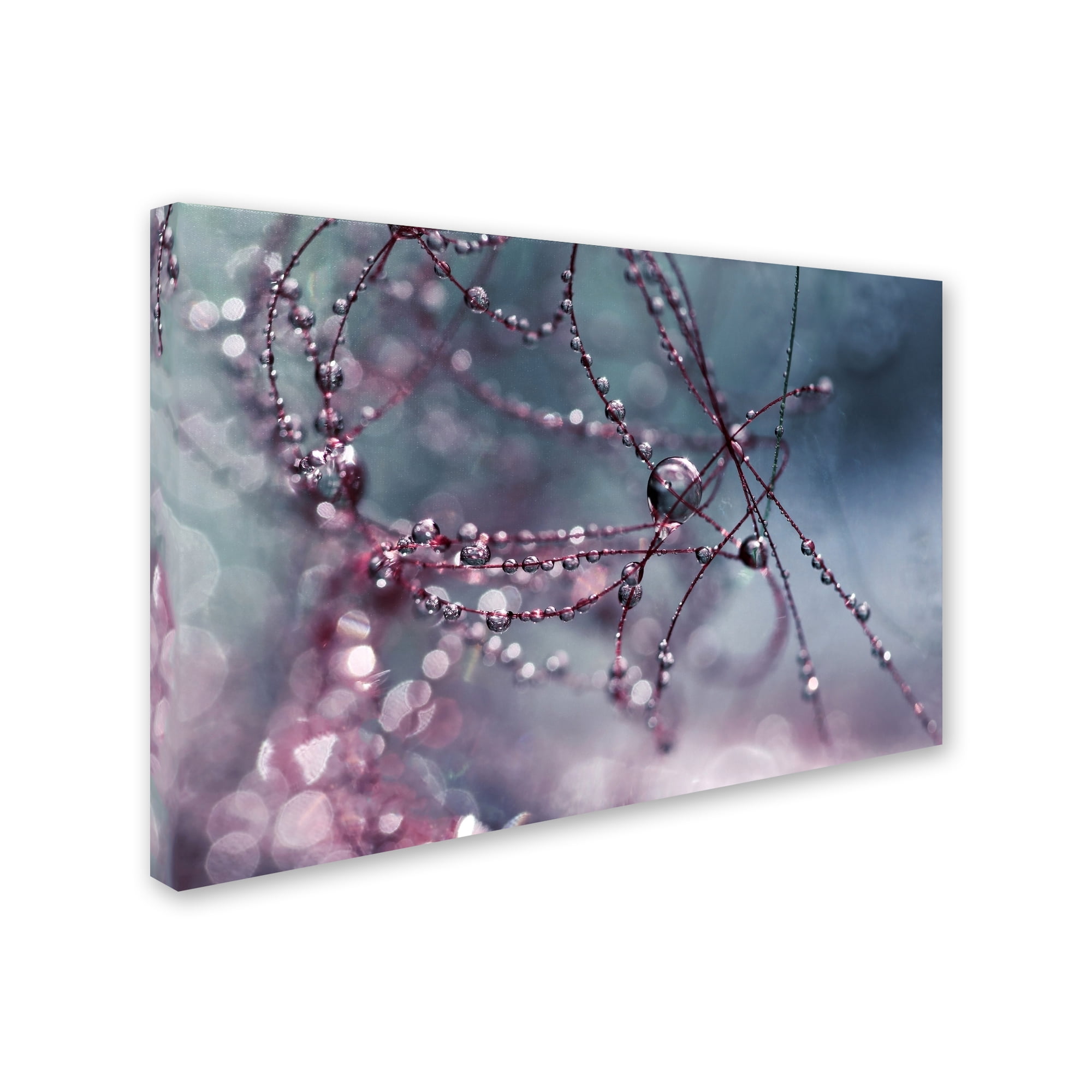 Trademark Fine Art "Colours of Today" Canvas Art by Beata Czyzowska Young