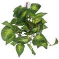 thumbnail image 3 of Miangastore Plante de Réservoir pour Reptile Plante Factice pour Reptile Ornement de Plante Réaliste Ornement de Plante Décor de Réservoir pour Reptile, 3 of 8