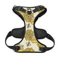 thumbnail image 5 of Lsque Cartoon Honey Pot Bee Sunflower Dog Harness, No-Pull Pet Harness with 2 Leash Clips, Adjustable Soft Padded Dog Vest with Easy Control Handle for Large Dogs-Medium, 5 of 9