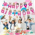thumbnail image 6 of Cat Birthday Party Hanging Swirls - 20PCS Lovely Pink Cat Birthday Party Supplies Honeycomb Centerpieces Cute Cat Theme Birthday Party Decorations for Cats Kids Teens Adults, 6 of 6
