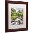 thumbnail image 2 of Trademark Fine Art 'Iao Valley Maui' Canvas Art by Pierre Leclerc, White Matte, Wood Frame, 2 of 4