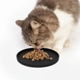 thumbnail image 4 of Pet Silicone Food Mat, Set of 2 Nonslip Waterproof Feeding Bowl Mat with Raised Edges for Food and Water Prevent Spills, Round Eating Tray for Dog Cat Puppy Kitten, 6'' x 6'', 4 of 6