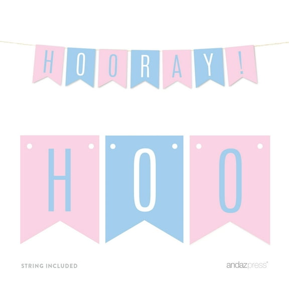 Signature Pink and Blue Gender Reveal Baby Shower, Hanging Pennant Banner, Hooray!