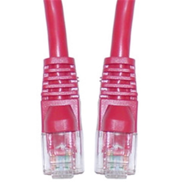 Câble Ethernet Gris Cat6 de 1 Pi, Sans Accroc et Moulé