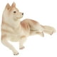 thumbnail image 1 of Figura de perro de simulación de cachorro, juguete de plástico para perro, 1 of 7