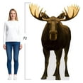 thumbnail image 3 of Life Size Cardboard Cutout Standup | Waterproof | Animals - lifesize (), 3 of 5