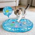 thumbnail image 2 of Sensory Play Mat with Extra Protective Cover, Thickened Ellipse Bed Toy for Cats Dogs, 2 of 5