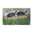 thumbnail image 1 of Betsy Drake DM045G Two Turtles Door Mat - 30 x 50 in., 1 of 1