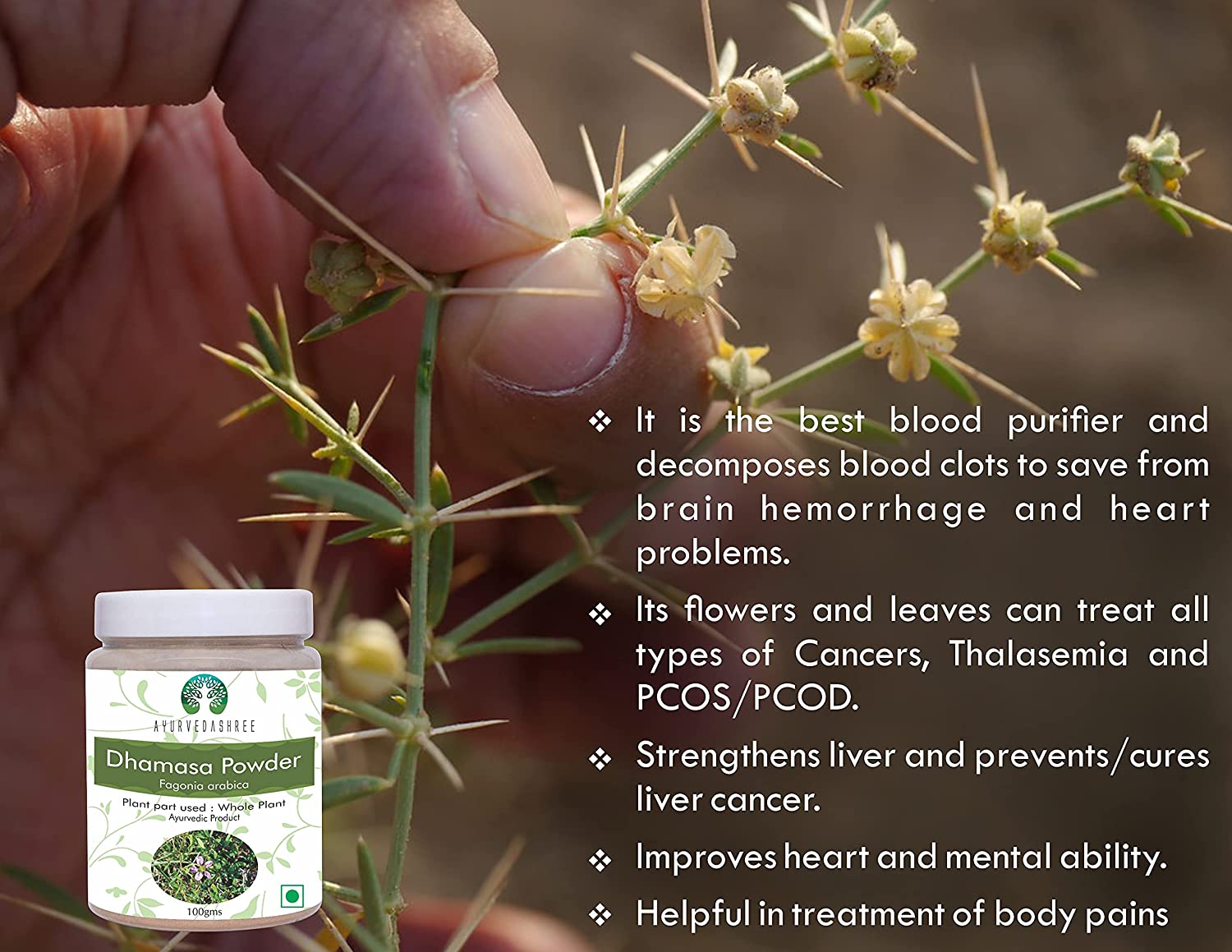 AYURVEDASHREE Fagonia cretica Powder 100 Gm, Dhamasa Herbal Supplement- Vegan - image 3 of 7