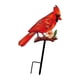 thumbnail image 5 of Cardenal rojo en estaca para jardín, adorno decorativo para césped. Estilo C, 5 of 8