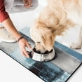 thumbnail image 2 of pbgtywd Blue Color Block Pet Feeding Mats, 2 of 7