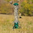 thumbnail image 5 of Perky-Pet Green Squirrel Slammer Wild Bird Tube Feeder - 3.5 lb, 5 of 9