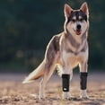 Pair Front Leg Braces for Dogs with Metal Strips & Safety Reflective