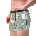 thumbnail image 4 of Disketp Cute Farm Birds Men'S Boxer Briefs,Soft And Breathable Cotton Underwear With Comfortflex Waistband, 4 of 8