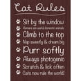 thumbnail image 2 of Gibbons, Lauren 19x24 White Modern Wood Framed Museum Art Print Titled - Cat Rules, 2 of 4