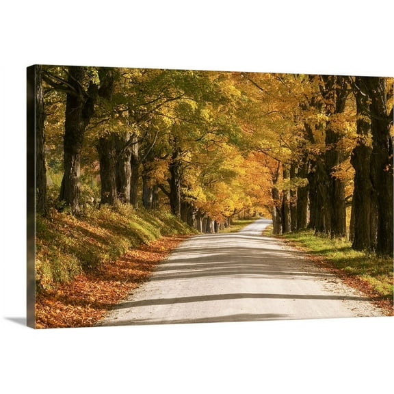 Great BIG Canvas | "Maple Canopy" Canvas Wall Art - 36x24