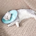thumbnail image 4 of Collier Cône pour Chat Ajustable Collier de Récupération pour Chat Collier Élisabéthain pour Arrêter de Lécher les Blessures pour Chats, Petit Chien, Chiot, 4 of 5