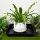 thumbnail image 5 of 2 bandejas de goteo versátiles para plantas: platillo de plástico a prueba de fugas para macetas y bonsáis., 5 of 8